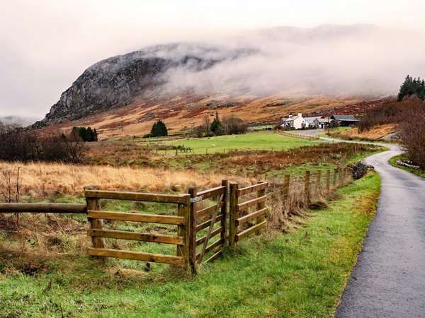 Brandes de bruyère en rouleau : intimité et esthétique